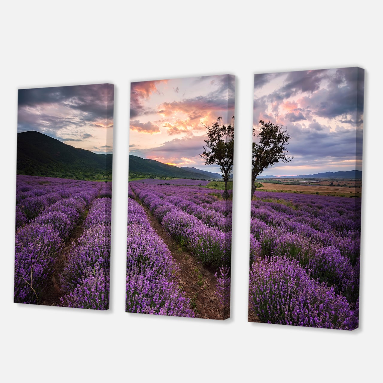 Designart - Lavender Field At Dawn III - Farmhouse Canvas Wall Art Print